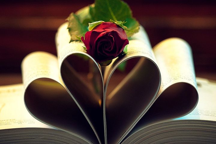 تصویری مرتبط با مشاوره و آزمون خودشناسی