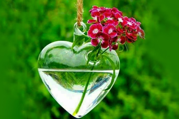 تصویری مرتبط با یک همسر نمونه