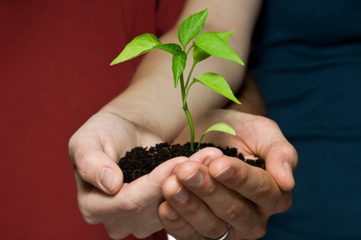 تصویری مرتبط با یک خواستگاری موفق