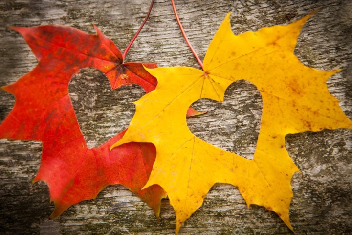 تصویری مرتبط با مشاوره و آزمون خودشناسی