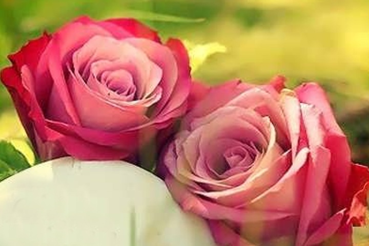 تصویری مرتبط با پیش نیازهای ازدواج