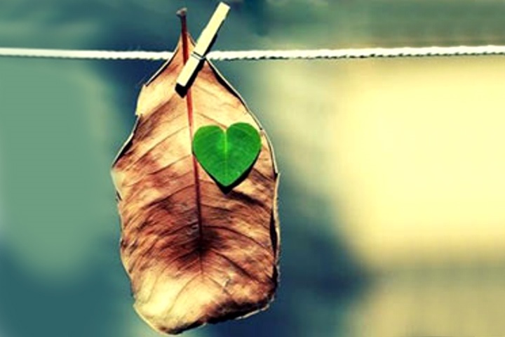 تصویری مرتبط با اختلافات همسران