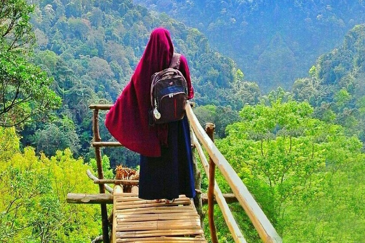 تصویر مرتبط با مقاله